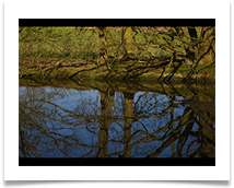 Reflections - Gopal Krishnan Chinnaswamy